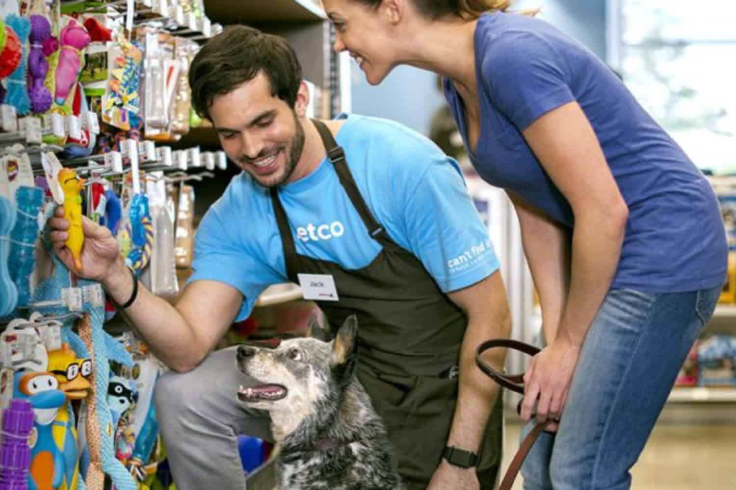 Contabilidade Para Pet Shop Por Que Ela é Essencial - Contabilidade em Vitória da Conquista - BA | Nord Contabilidade