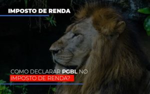 Ir2020:como Declarar Pgbl No Imposto De Renda Notícias E Artigos Contábeis Notícias E Artigos Contábeis Em Vitória Da Conquista Ba | Nord Contabilidade - Contabilidade em Vitória da Conquista - BA | Nord Contabilidade