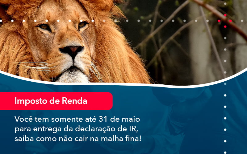 Voce Tem Somente Ate 31 De Maio Para Entrega Da Declaracao De Ir Saiba Como Nao Cair Na Malha Fina 1 - Contabilidade em Vitória da Conquista - BA | Nord Contabilidade