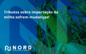 Tributos Sobre Importação De Milho Sofrem Mudanças! Nord Contabilidade - Contabilidade em Vitória da Conquista - BA | Nord Contabilidade