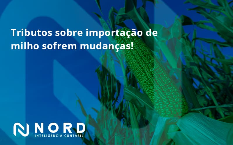 Tributos Sobre Importação De Milho Sofrem Mudanças! Nord Contabilidade - Contabilidade em Vitória da Conquista - BA | Nord Contabilidade