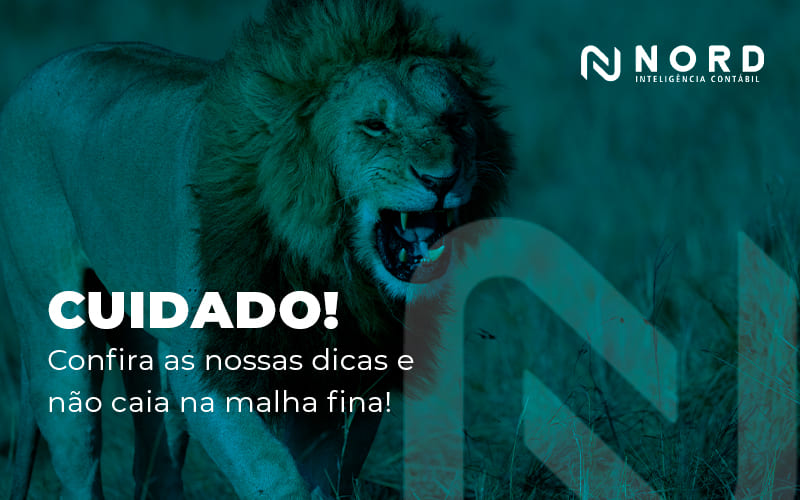 Malha fina: dicas essenciais para não cair mais!